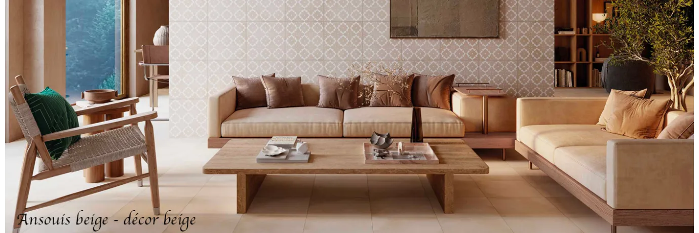 Carrelage mur traditionnel Ansouis décor beige et uni beige pour le sol du salon style ancien