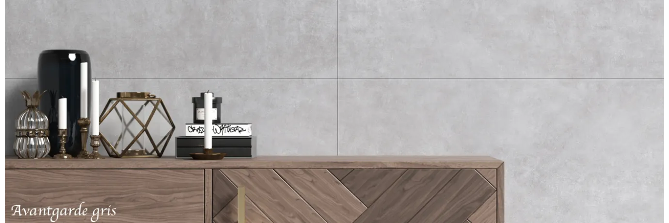 carrelage moderne avantgarde gris pour le mur de l'entrée style design