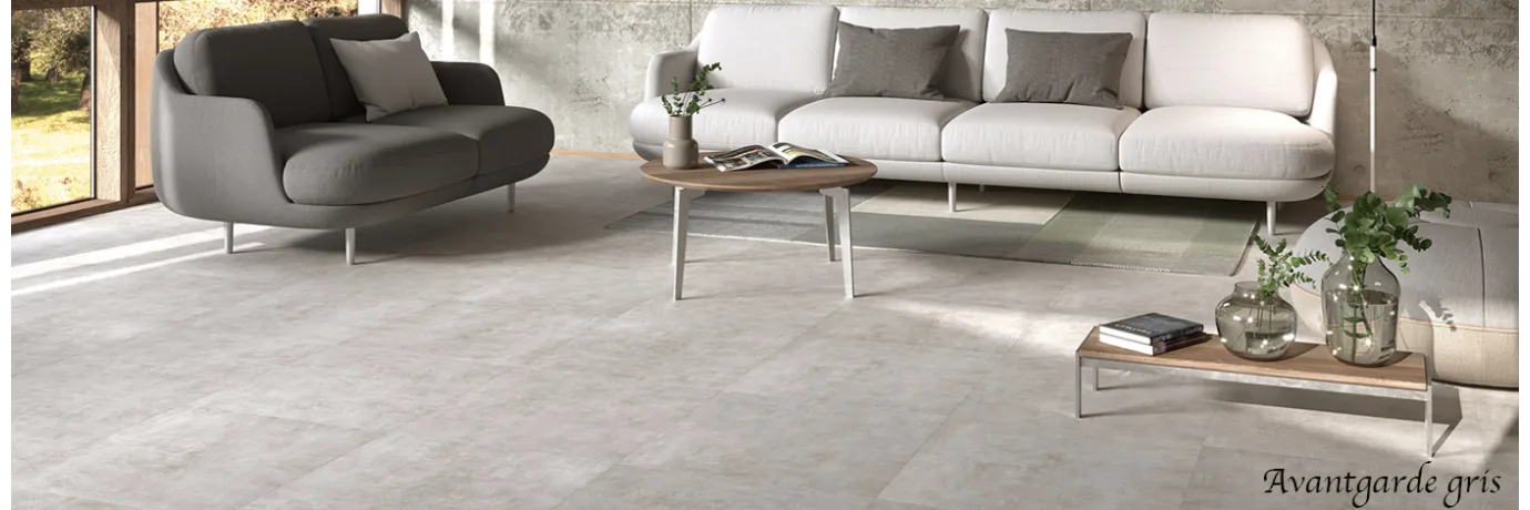 carrelage moderne avantgarde gris pour le salon style classe